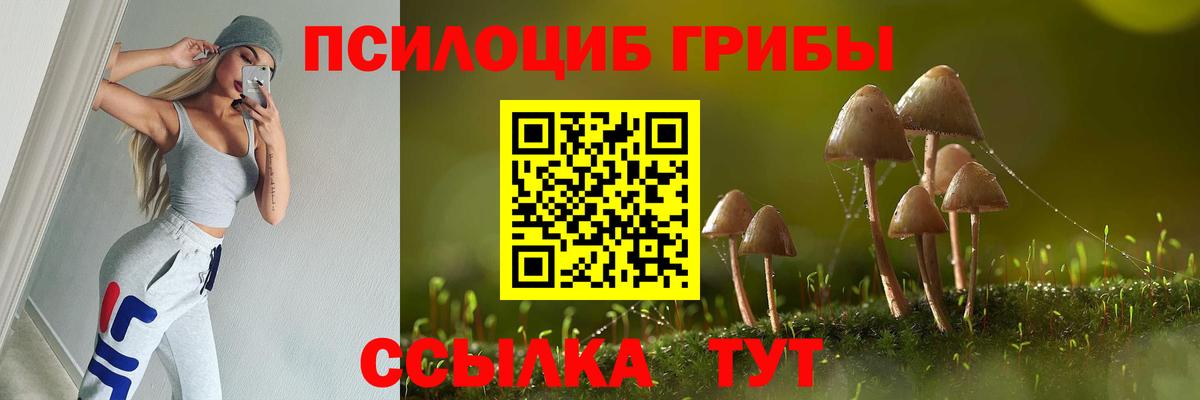 Галлюциногенные грибы Psilocybine cubensis  Галлюциногенные грибы Magic Shrooms  Вход с VPN  Бутурлиновка 